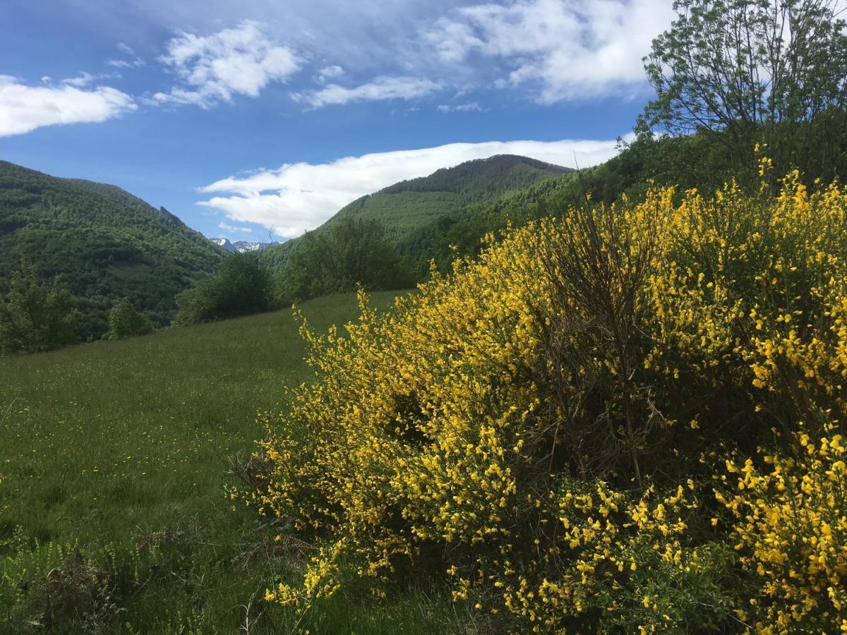 Hotel Les Songes Du Chene Augirein Esterno foto